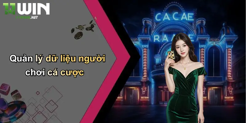 Chính Sách Bảo Mật: Nền Tảng An Toàn Thông Tin Của 11WIN 4 Quản lý dữ liệu người chơi cá cược